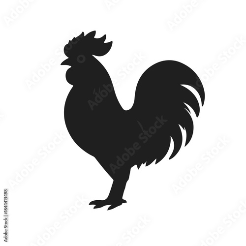 Black Rooster