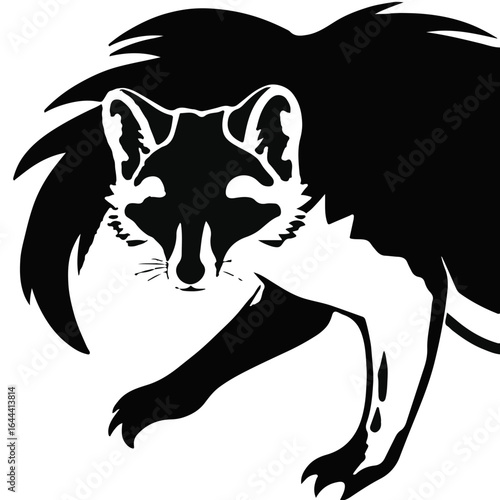 Black Quoll Illustration