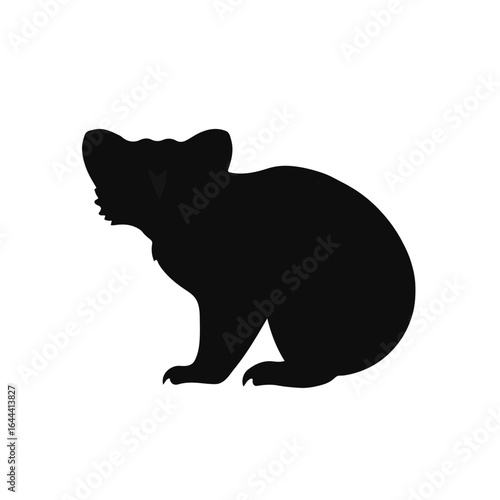 Black Quoll Illustration