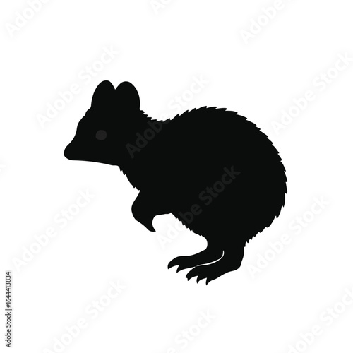 Black Quokka Animal