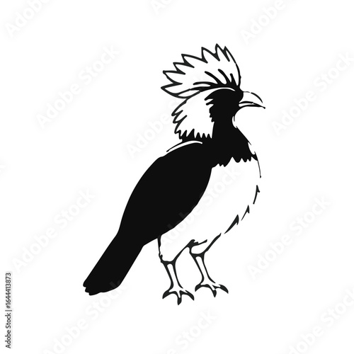 Black Quetzal Animal