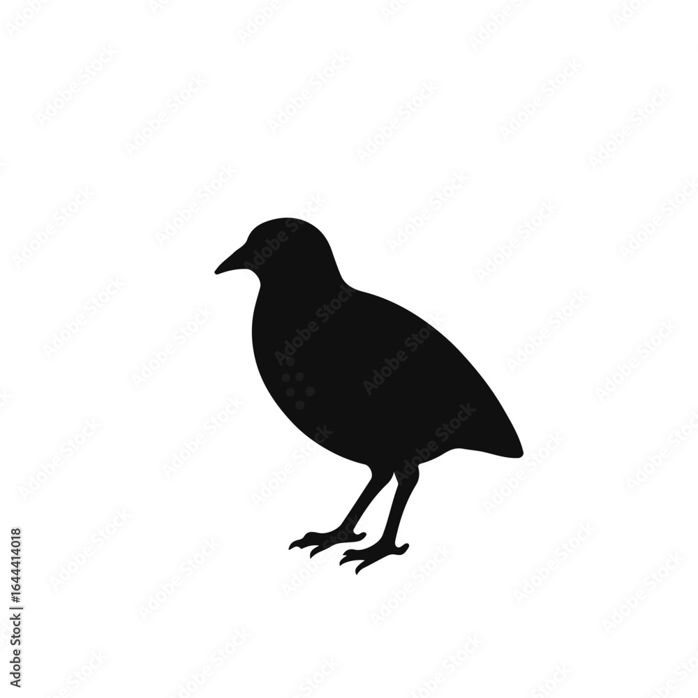 Obraz premium Black Quail Animal