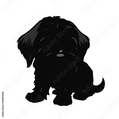 Vendée Petit Basset Griffon Portrait