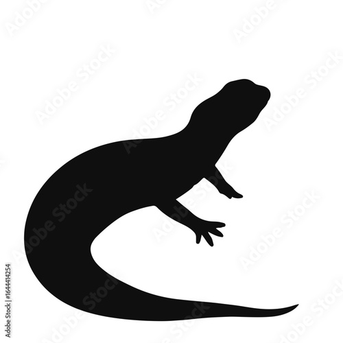 Pygmy Rattlesnake Illustration