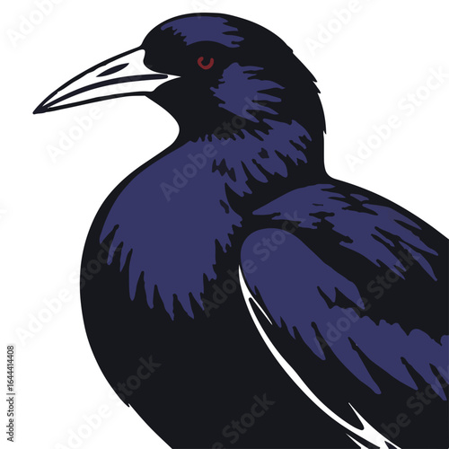 Purple Gallinule Illustration