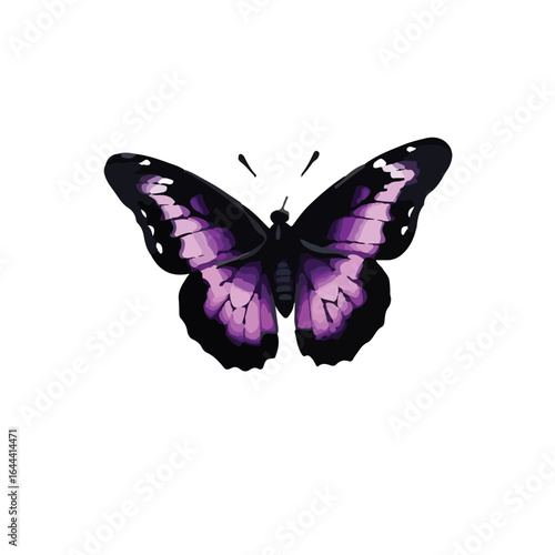 Purple Emperor Butterfly