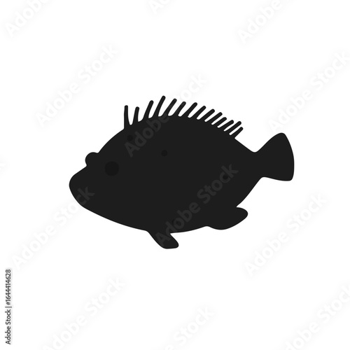 Black Pufferfish Animal