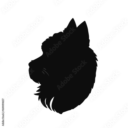 Pudelpointer Pet