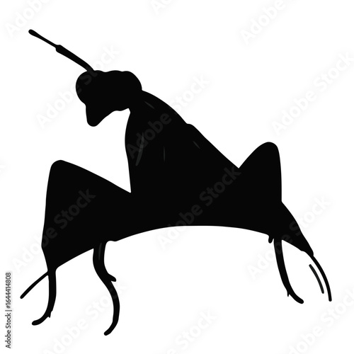 Praying Mantis Illustration