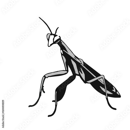 Praying Mantis Symbol