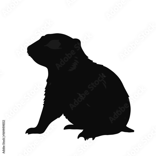 Prairie Dog Illustration