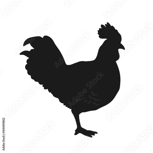 Prairie Chicken Illustration