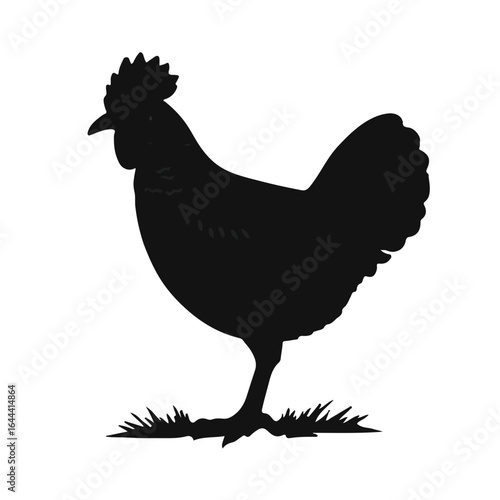 Prairie Chicken Animal