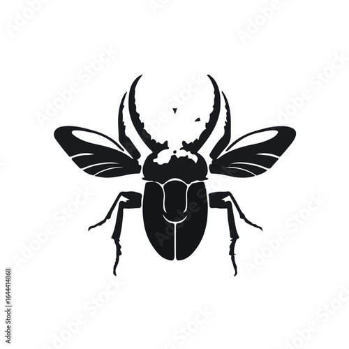 Powderpost Beetle Infestation