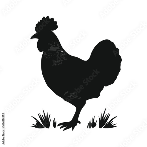 Prairie Chicken Animal