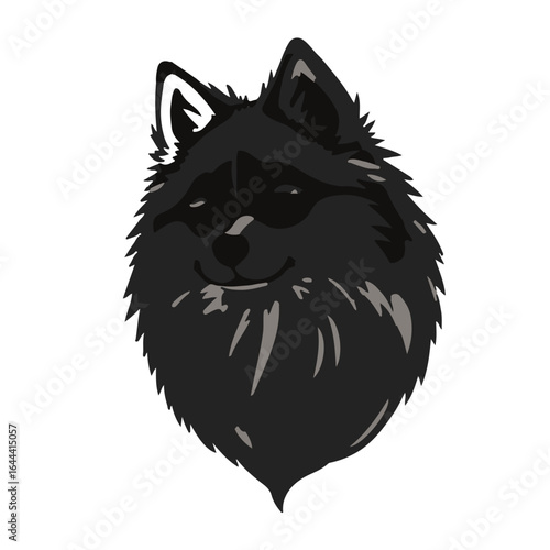 Black Pomsky Animal