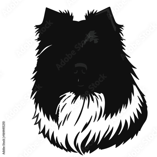 Polish Lowland Sheepdog Animation