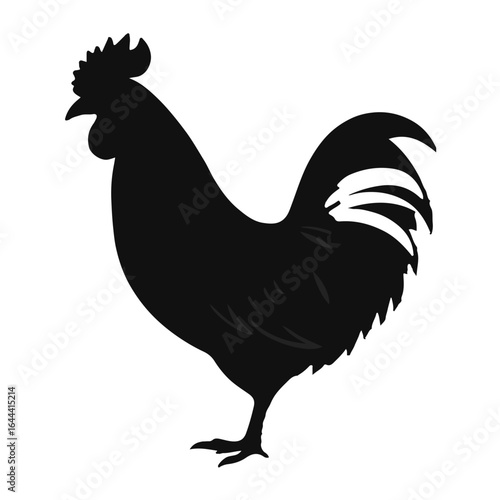 Polish Chicken Animal