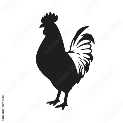 Polish Chicken Animal