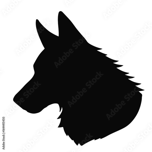 Black Pitbull Animal