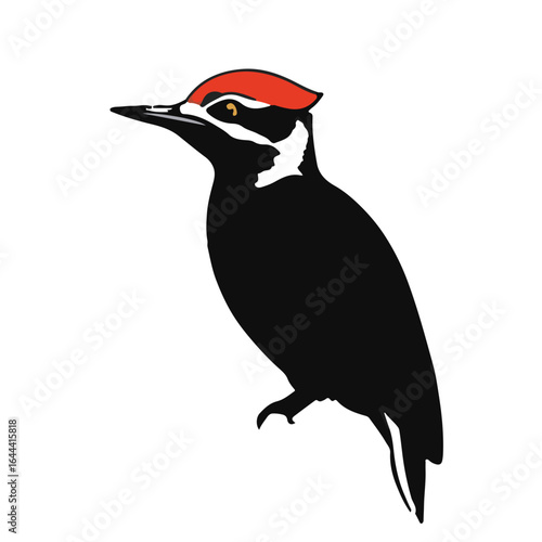 Pileated Woodpecker Image