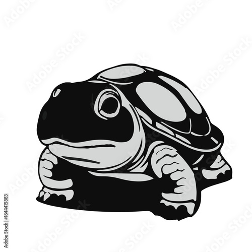 Pig-Nosed Turtle Image