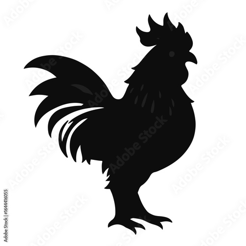 Phoenix Chicken Animal