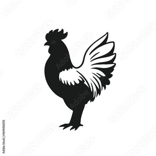 Phoenix Chicken Animal