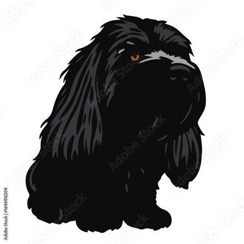 Petit-Basset-Griffon-Vendéen-Animal-Image