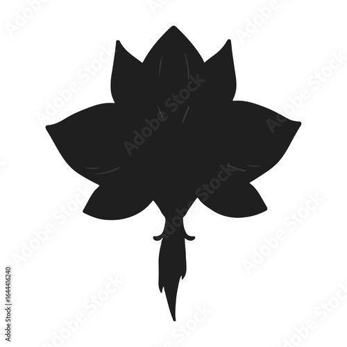 Peruvian Inca Orchid and Wildlife