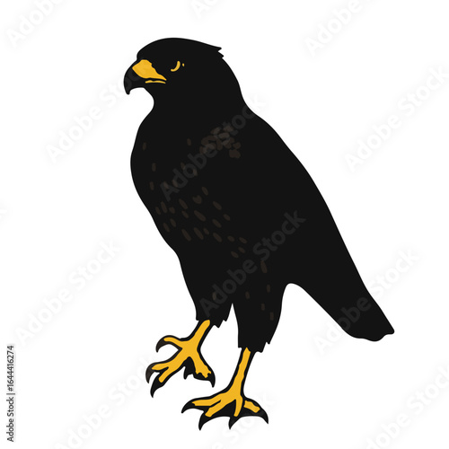 Peregrine Falcon Symbol