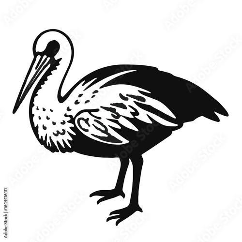 Pelagornithidae Family