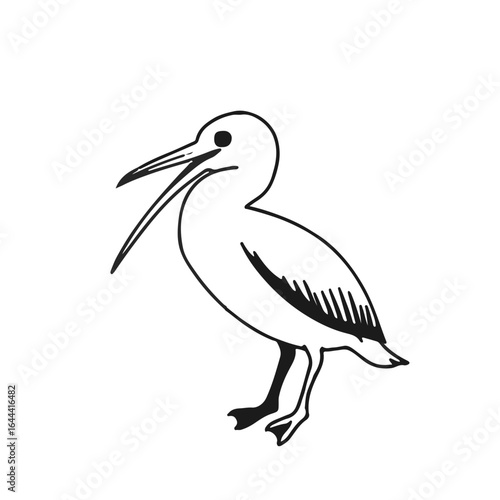 Pelagornis Black Avian Illustration