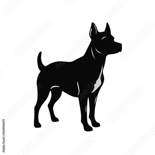 Patterdale Terrier Portrait