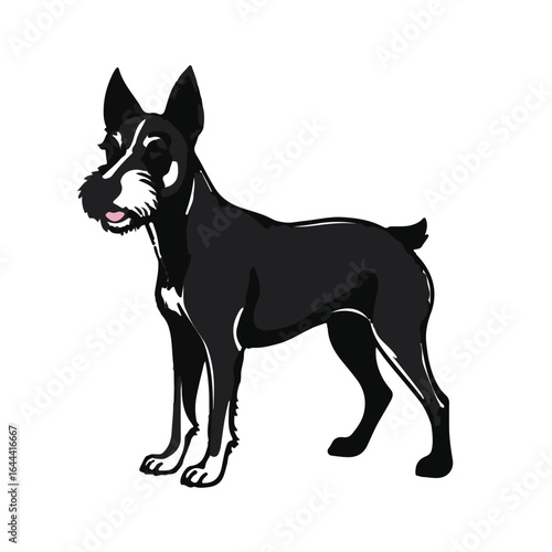 Patterdale Terrier Portrait