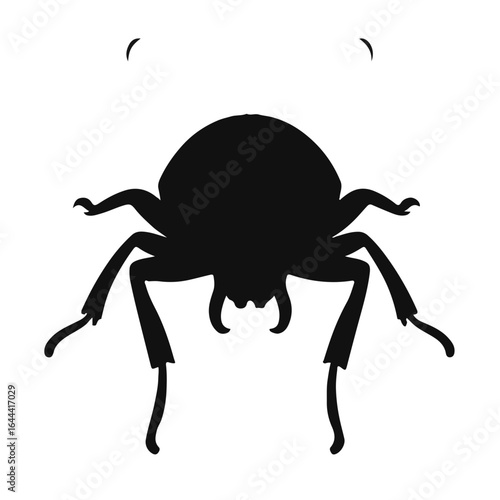 Palo Verde Beetle on Wildlife