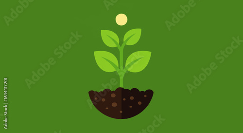 Minimalist green plant sprout with four leaves and a yellow seed, growing in a mound of soil.