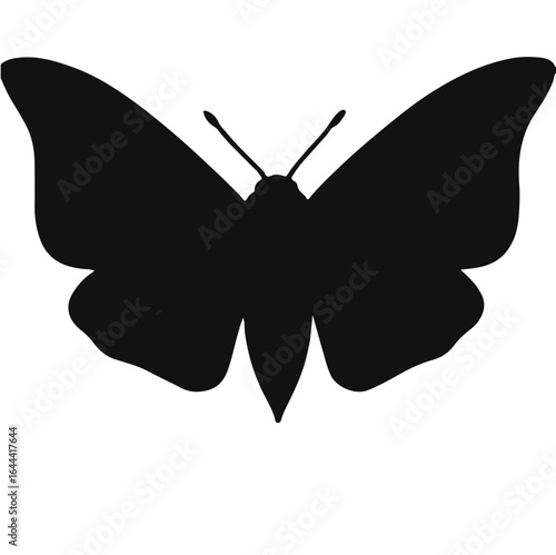 Black Puss Moth