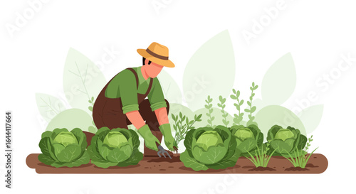Illustration of farmer working on cabbage patch, promoting sustainable agriculture and food production