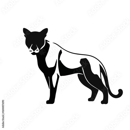Black Puma Animal Illustration