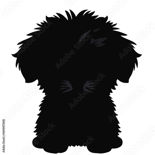 Wallpaper Mural Black Poodle Pet Torontodigital.ca