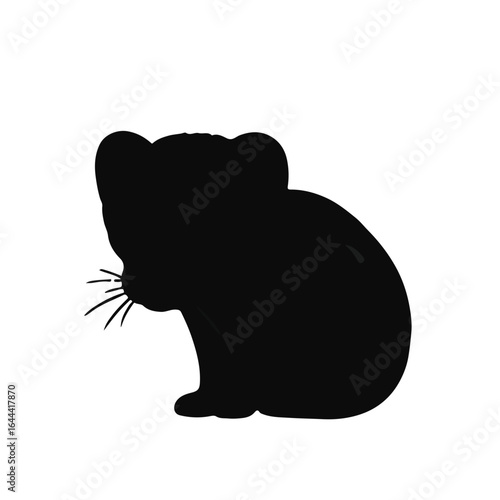 Black Polecat Animal