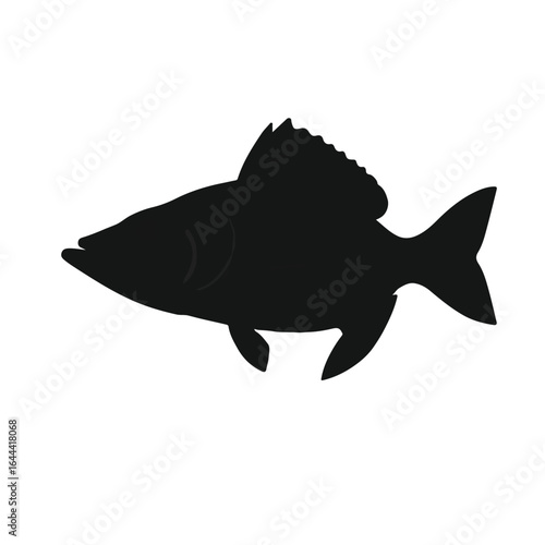 Black Pike Fish