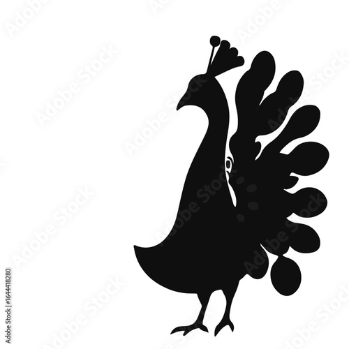 Obraz na plátně Black Peacock Animal