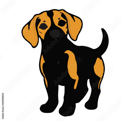 Pocket Beagle Illustration