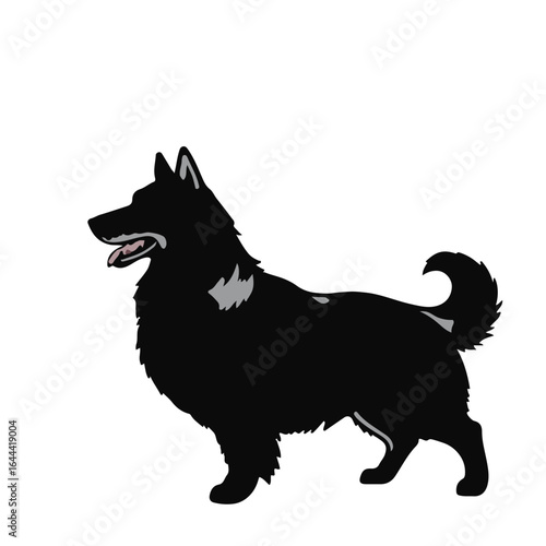 Norwegian Buhund