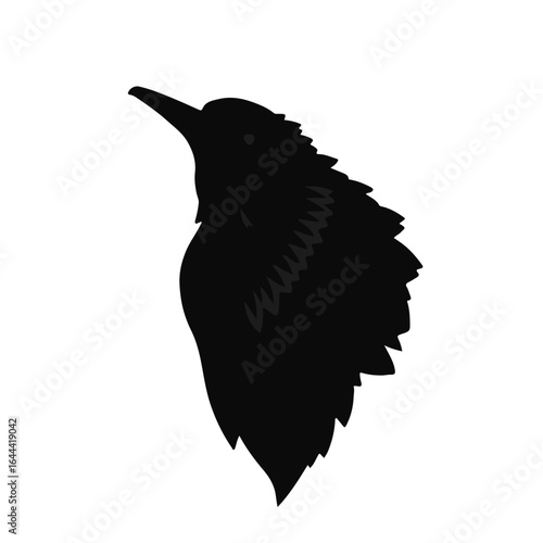 Northern Screamer Wildlife