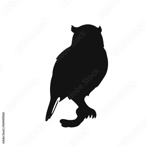 Behang Northern Potoo Illustration