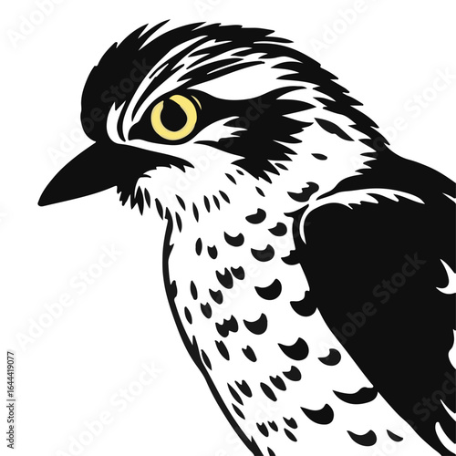 Northern Potoo Animal