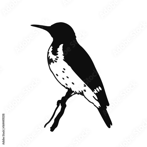 Northern Flicker Emblem